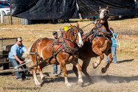 Jefferson County Fair