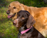 Best Buddies